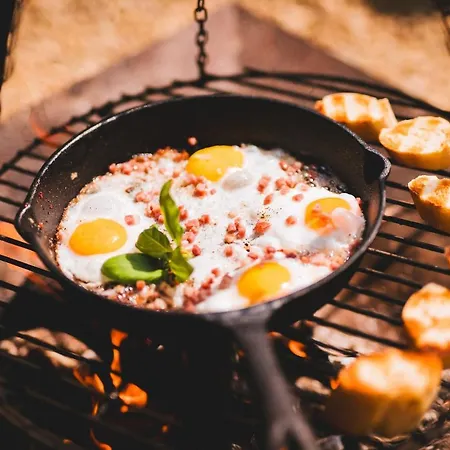 Maringotka V Mechu A Kapradi S Koupacim Canem