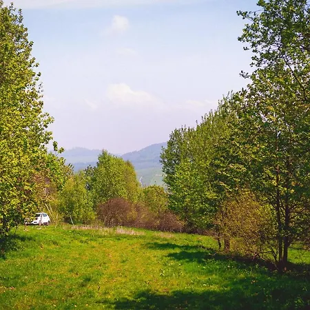 Maringotka V Mechu A Kapradi S Koupacim Canem * Červená Voda