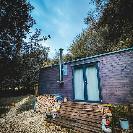 Maringotka V Mechu A Kapradi S Koupacim Canem Cervena Voda