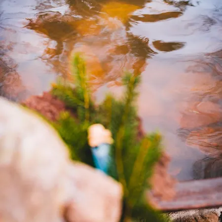 Maringotka V Mechu A Kapradi S Koupacim Canem *