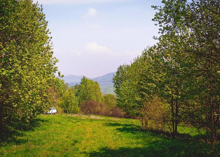 Maringotka V Mechu A Kapradi S Koupacim Canem * Červená Voda