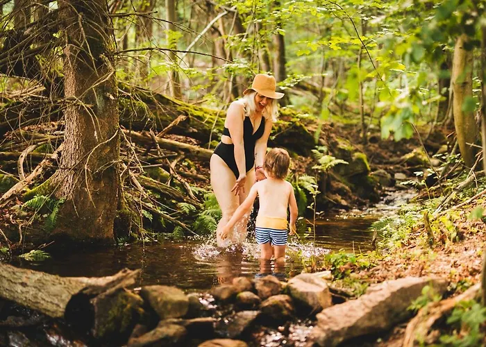 Maringotka V Mechu A Kapradi S Koupacim Canem * Červená Voda